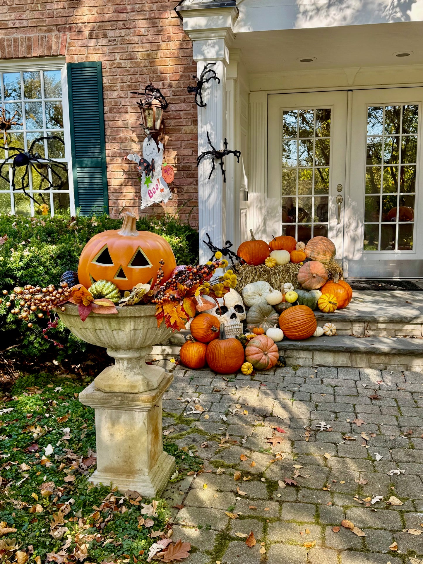 Oh my Gourd