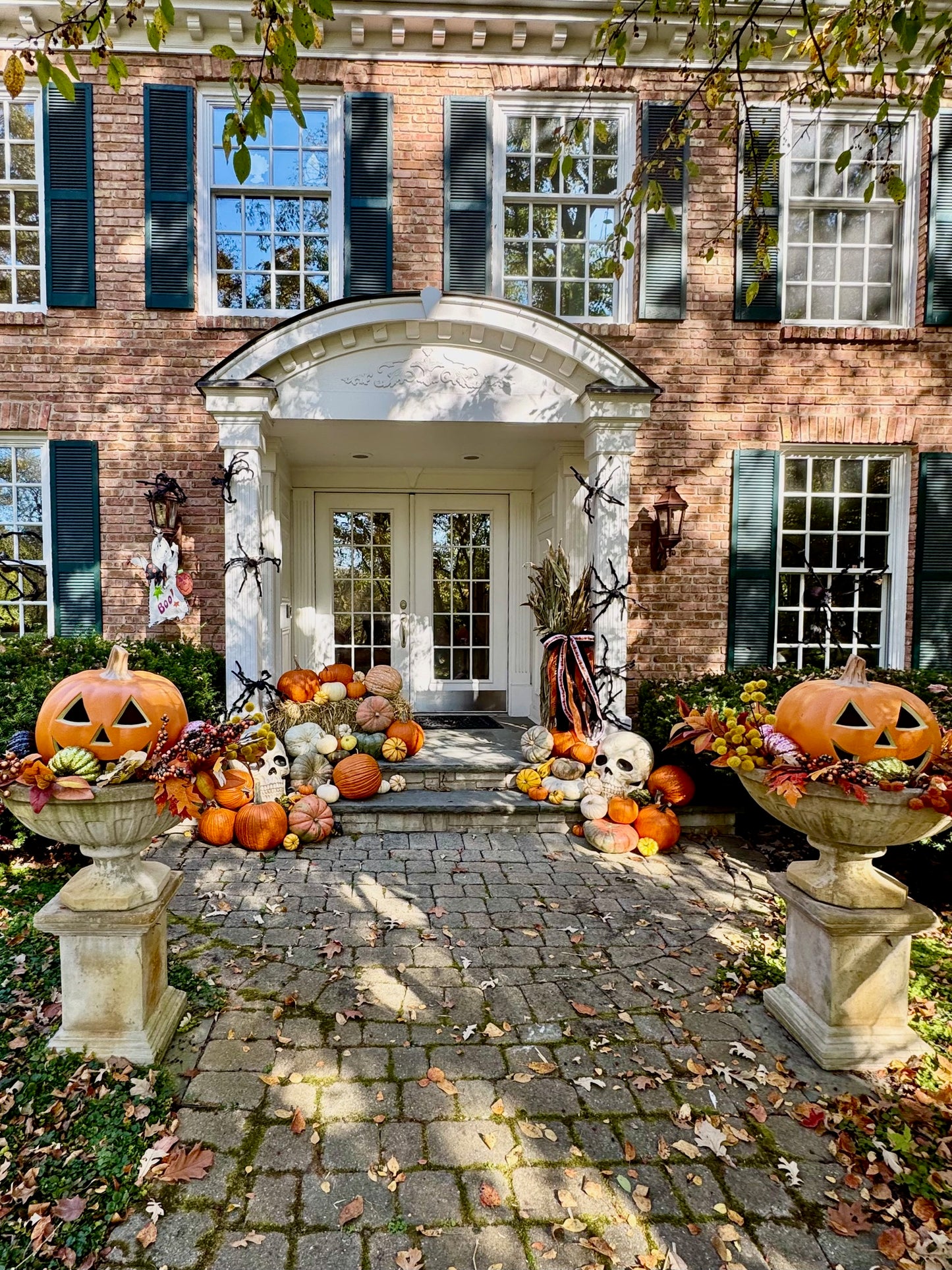 Oh my Gourd