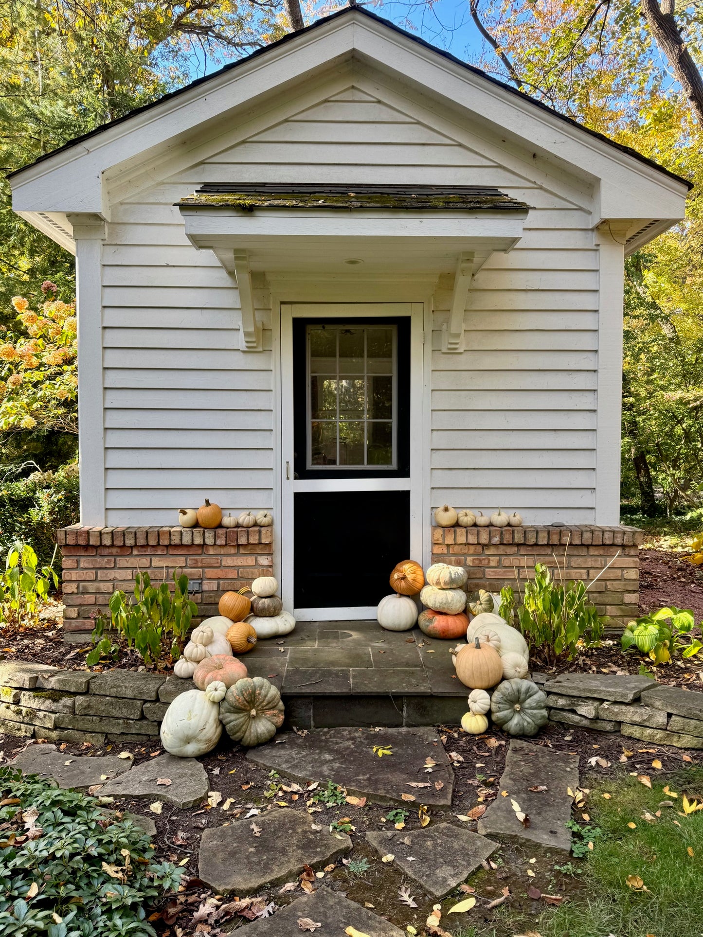 Petite Gourd