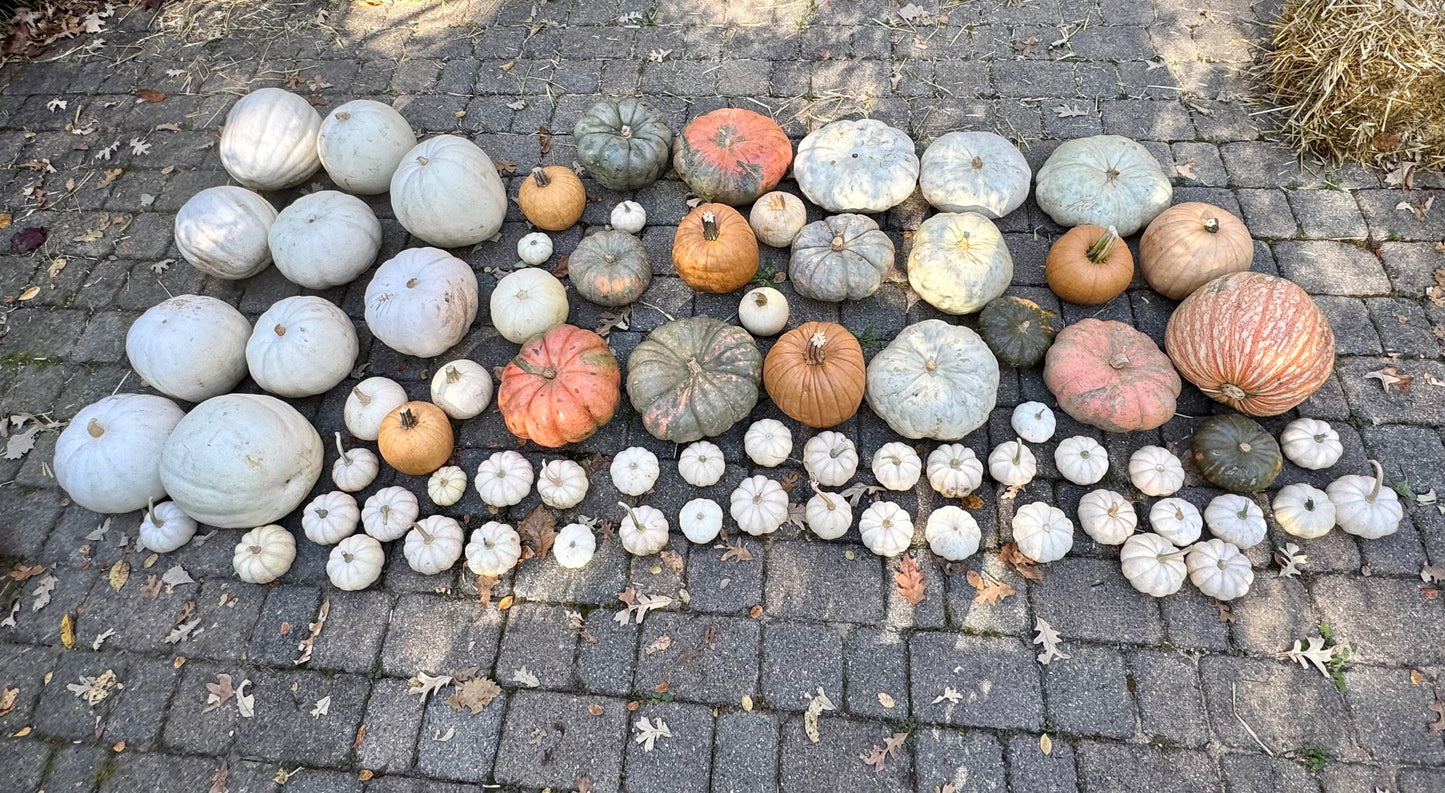 GourdGeous