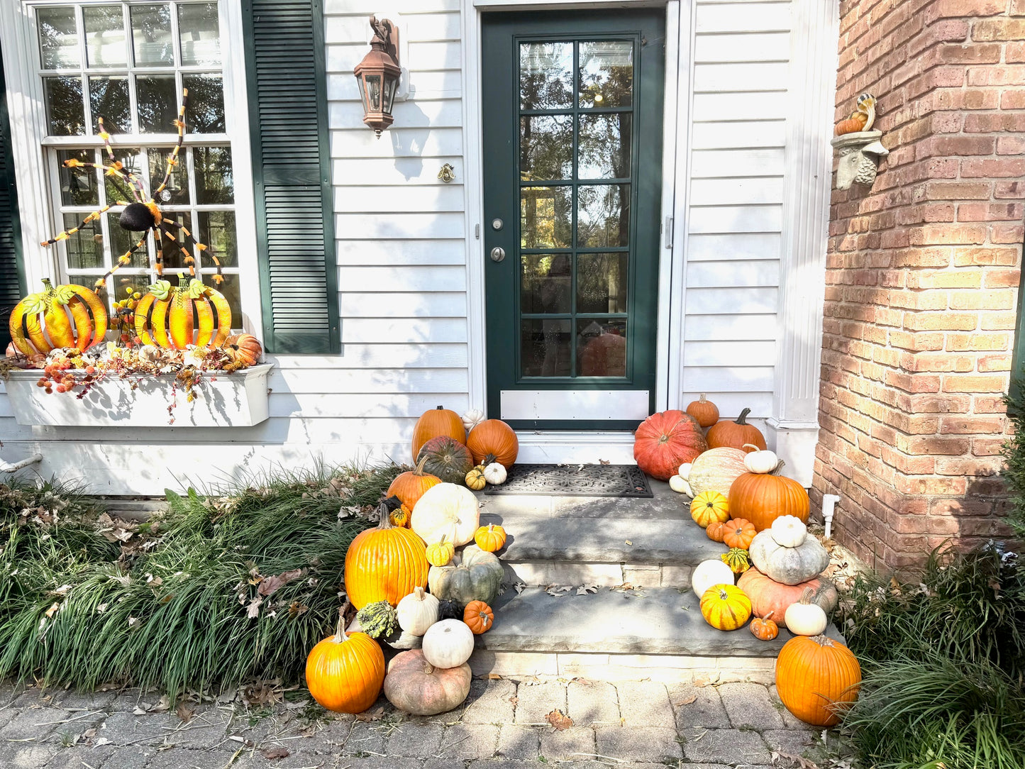 Petite Gourd