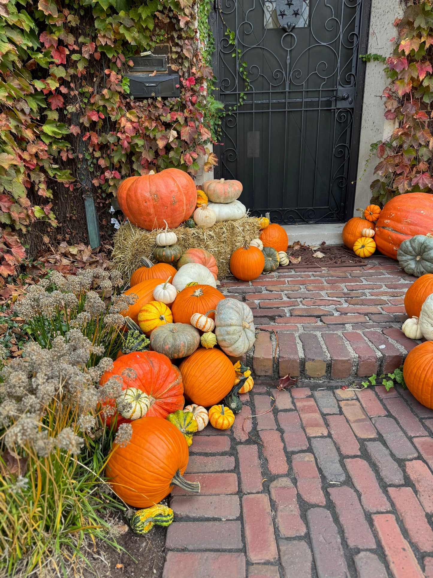 Gourd Goddesses