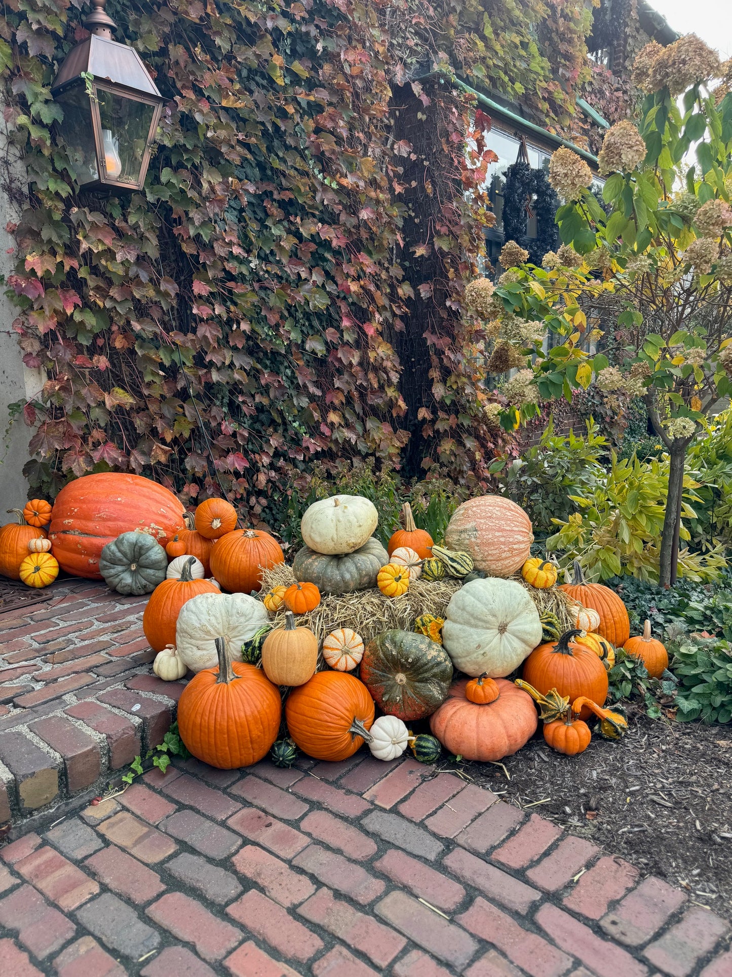 Gourd Goddesses