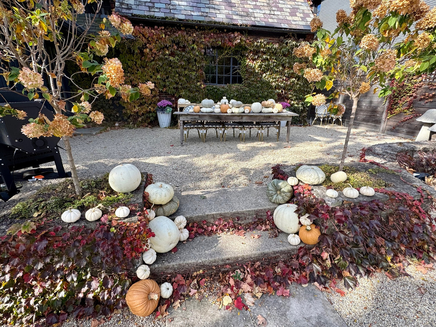 GourdGeous