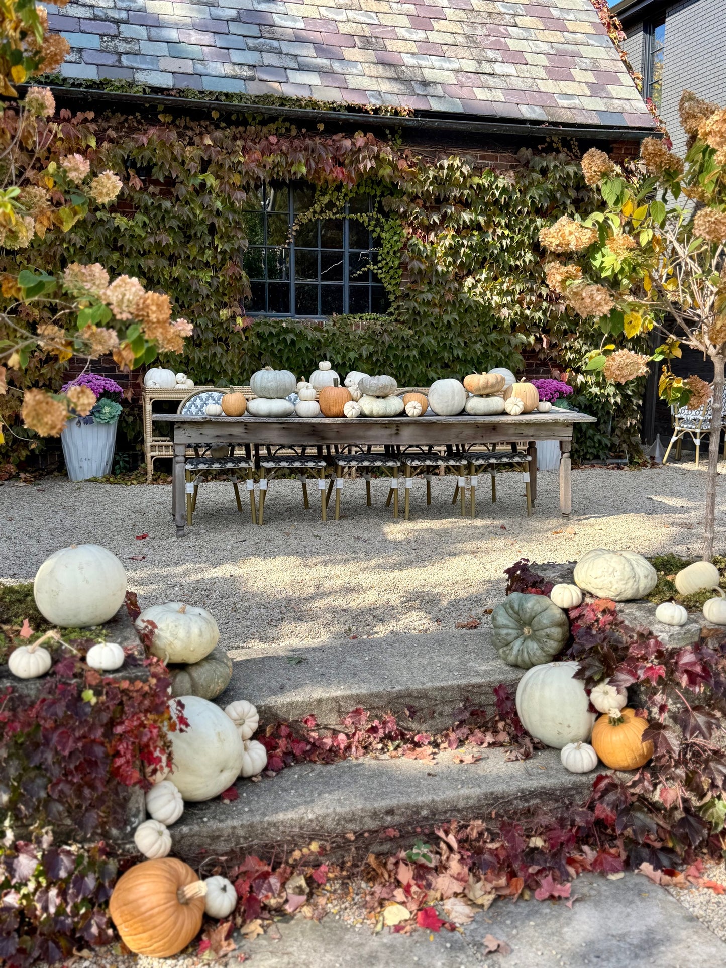 GourdGeous