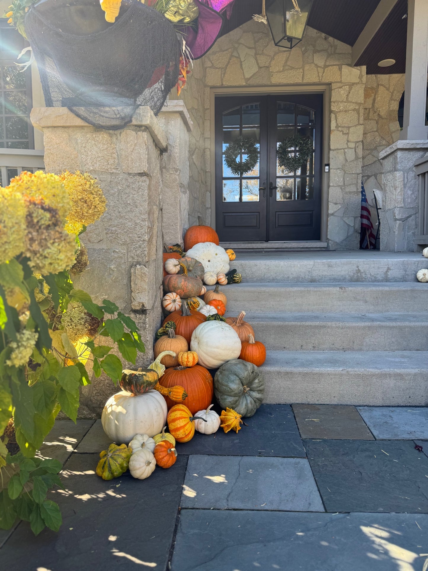 Oh my Gourd