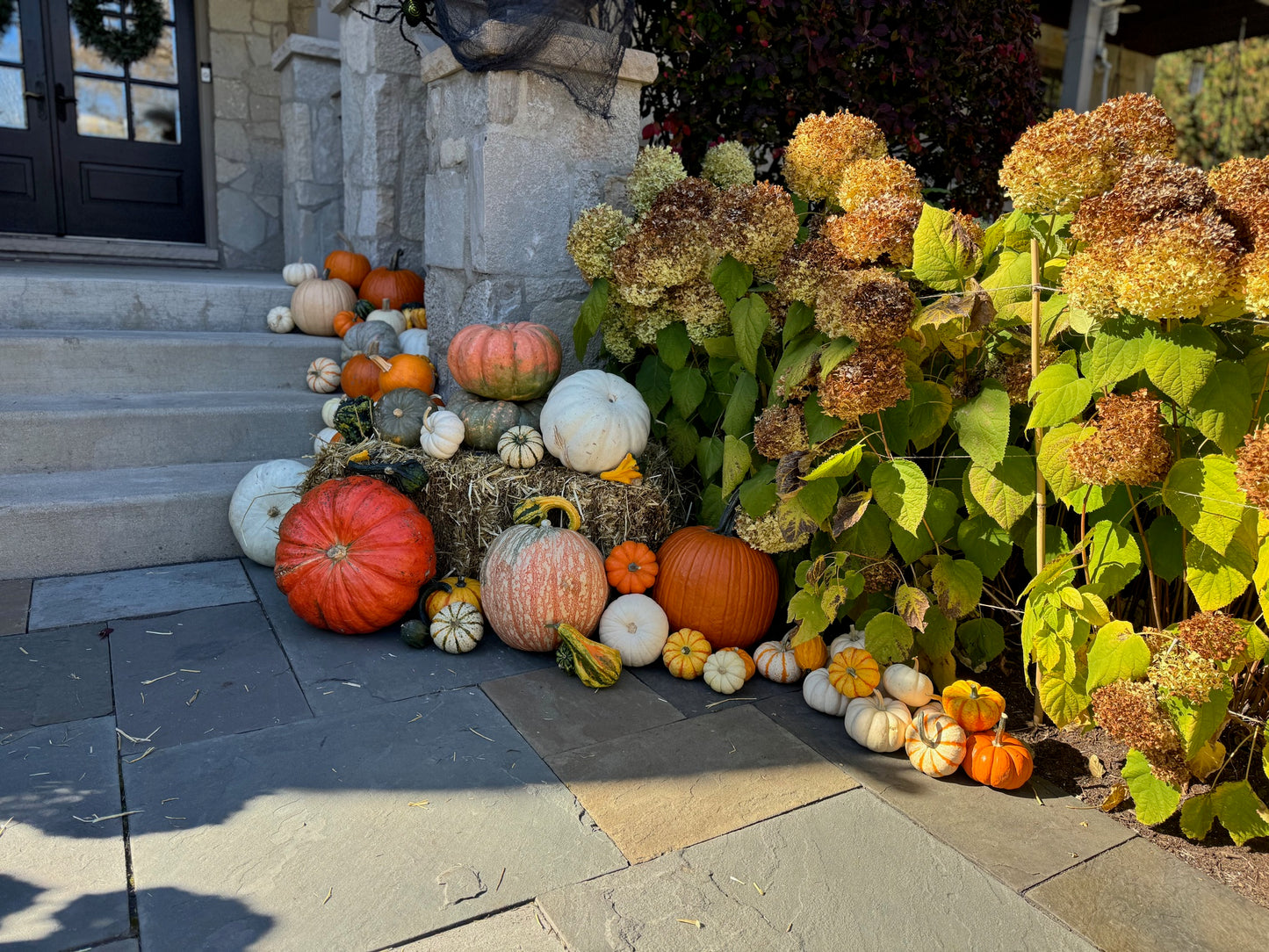 Oh my Gourd