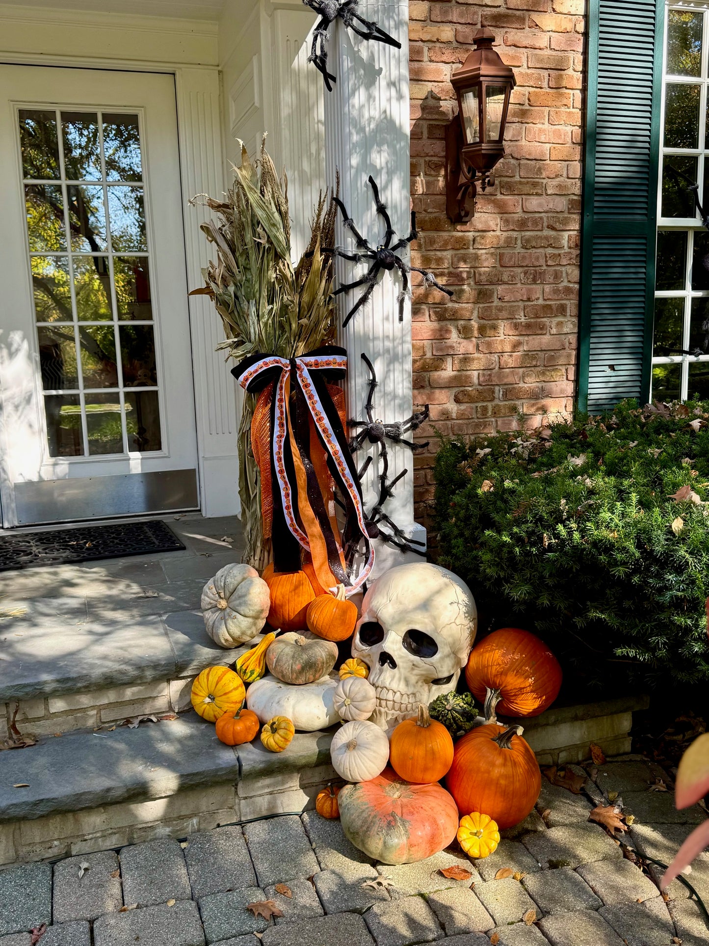 Oh my Gourd