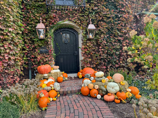 Gourd Goddesses